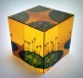 Cube, 9x9x9 cm, optické sklo, 2015